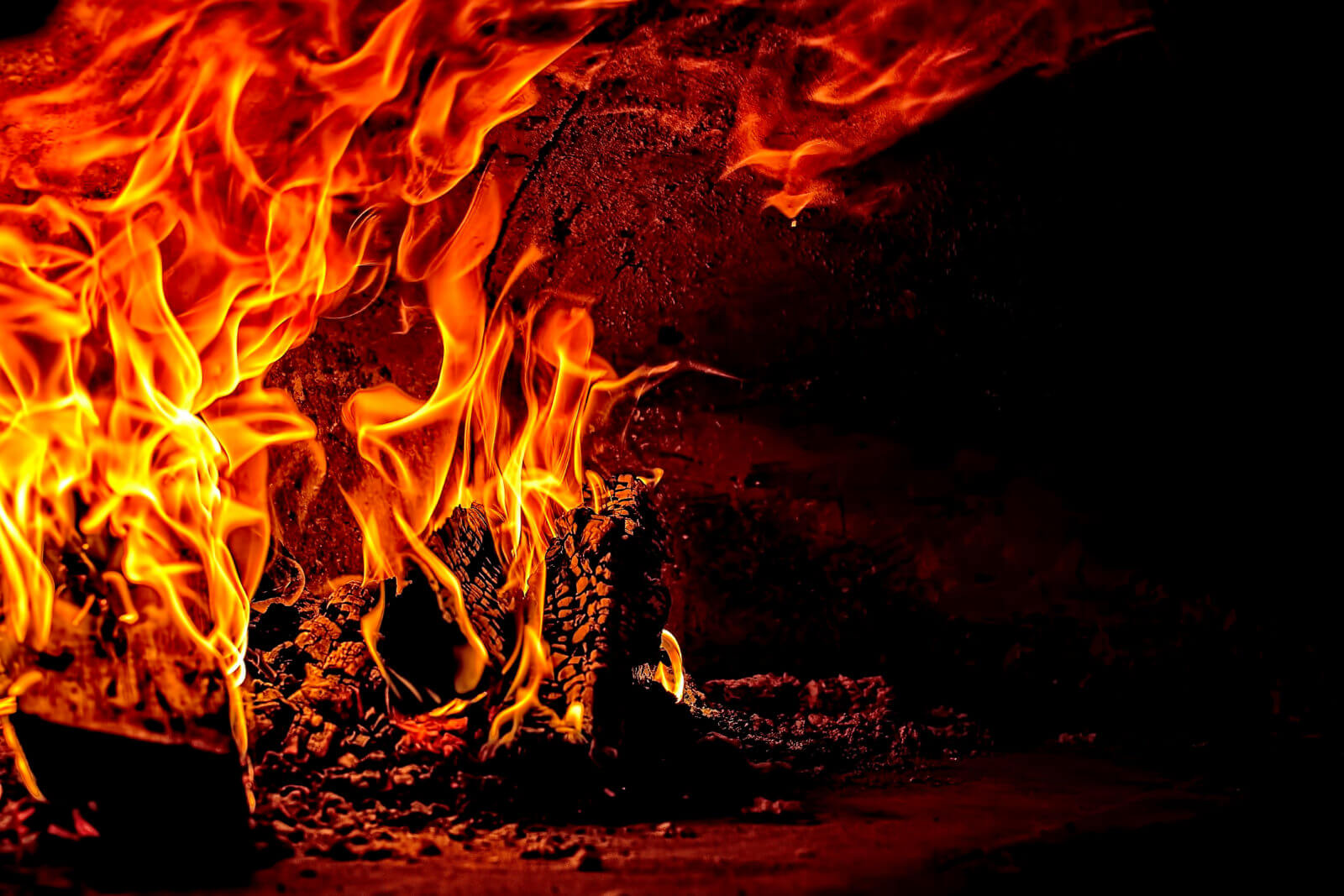 Os incêndios nas florestas – um mal maior que é preciso queimar