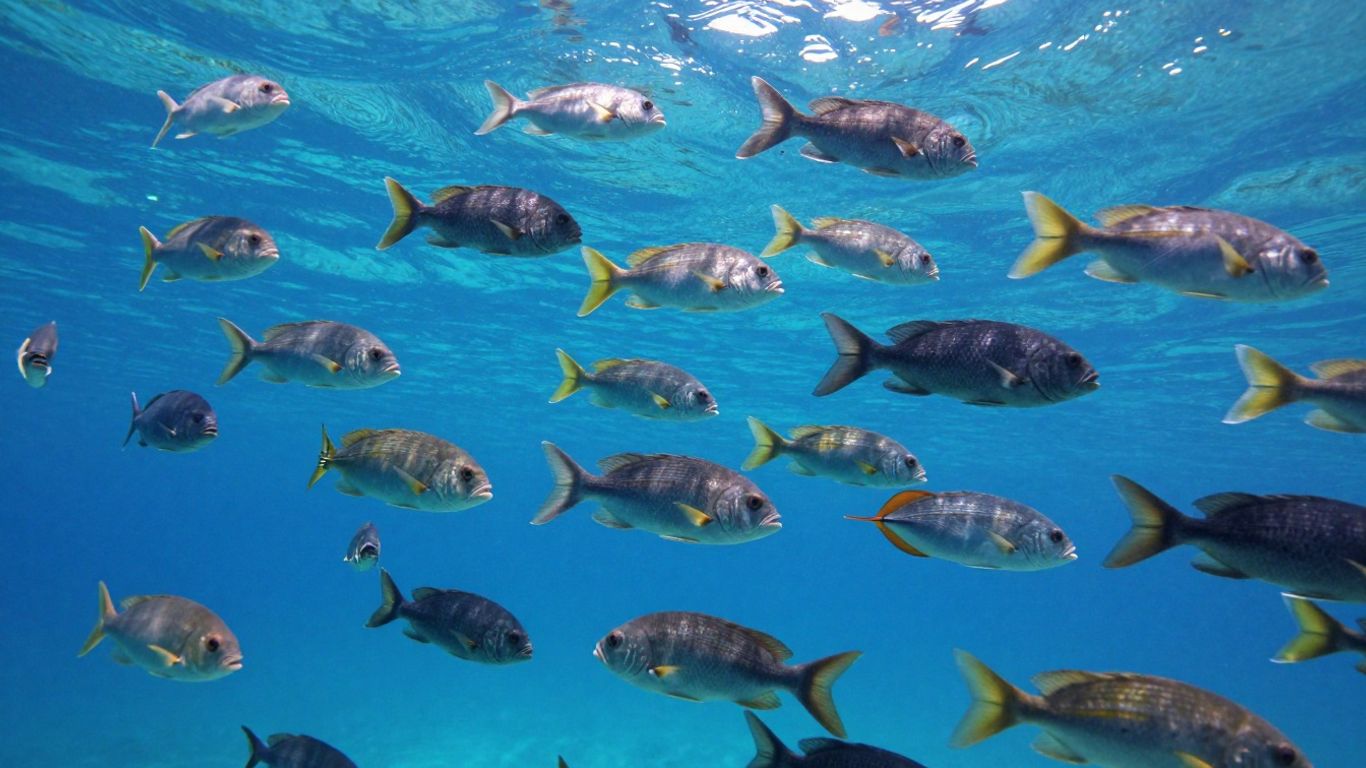 Explorando o Mundo dos Peixes Pelágicos: Características e Importância